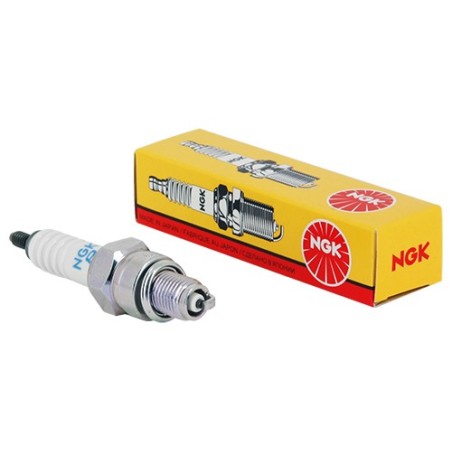 BOUGIE NGK STANDARD DR8ES-L